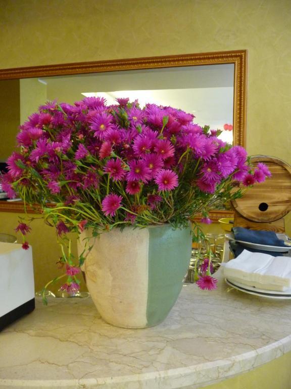 Biologico Corte Aragonese Agroturismo
