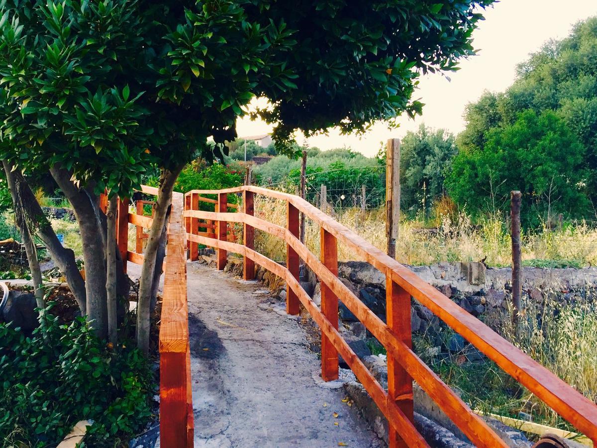 Biologico Corte Aragonese Agroturismo Santa Maria di Licodia